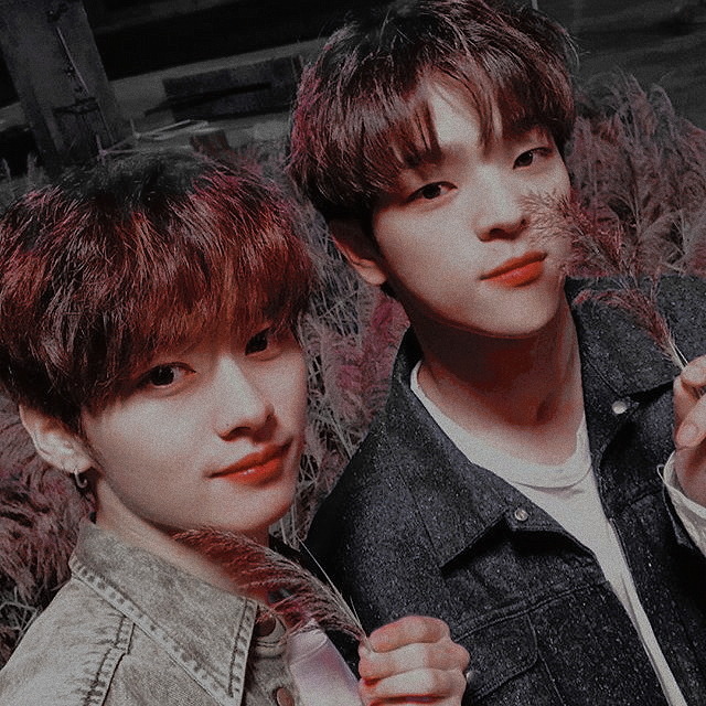 skz icons — Kim Woojin , Lee Know icon. like or rb.