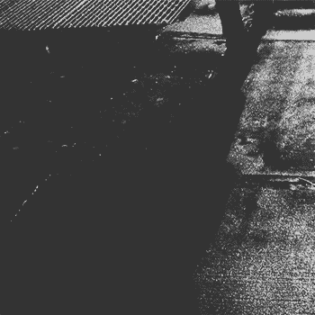 le-immorte