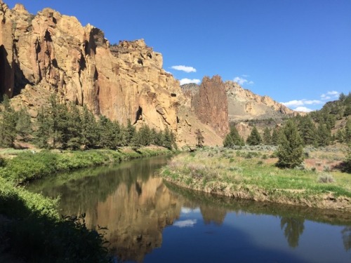 cabinology:From hiking Smith Rock a couple weeks ago.