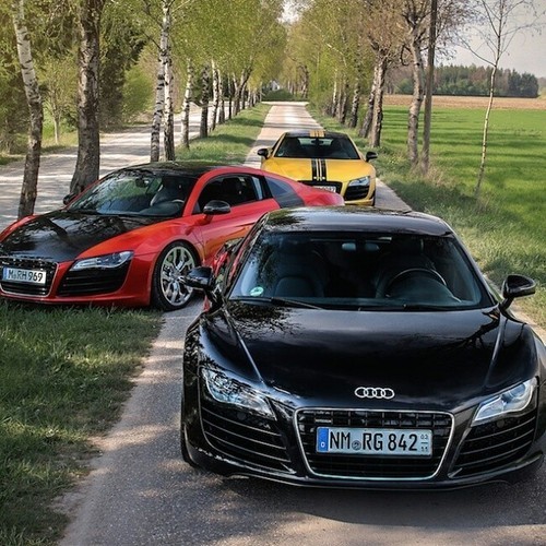 صورة 438 - luxury