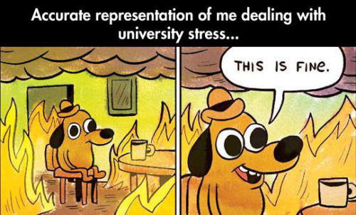srsfunny:University Stress