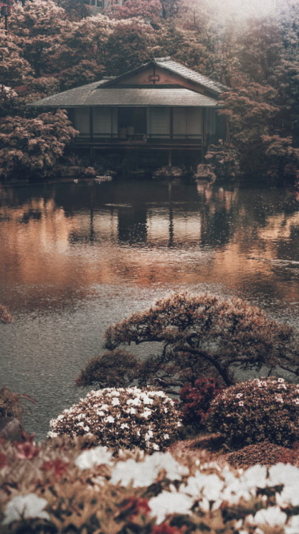 suck-my-soul:• Japan