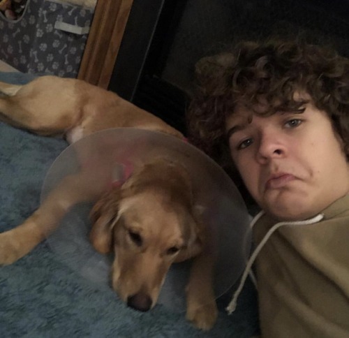 actorsandcanines:Gaten Matarazzo