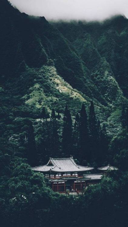 adventure-heart:Visit Japan the next year. 