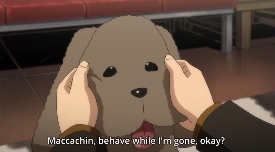 favorite anime pet | Tumblr