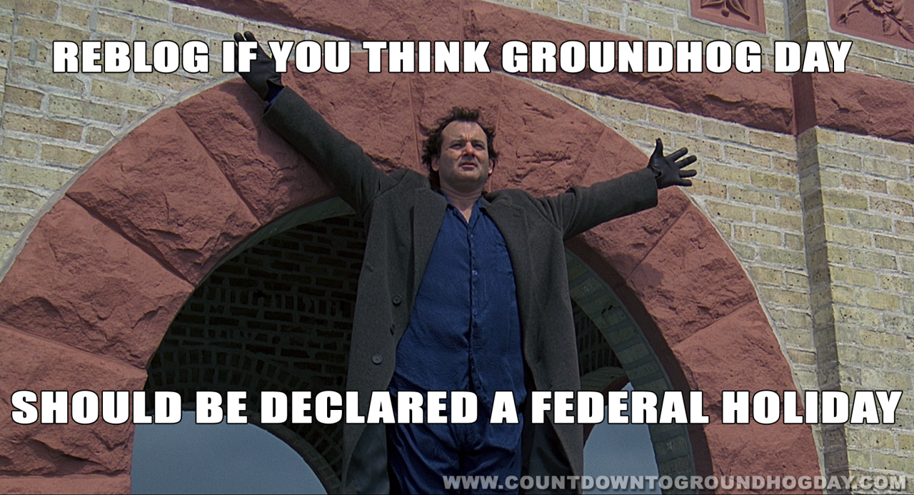 Reblog if you think Groundhog Day should be a Federal Holiday
