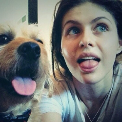 @AlexandraDaddario Tumblr_o8siikaEhR1tdh32io1_250