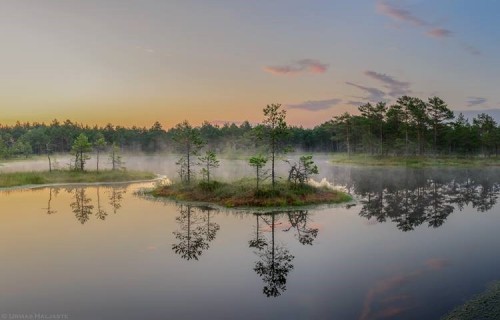 sci-universe:The magical bogs of Estonia Image credit from the...