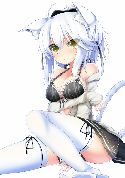 Sexy catgirls and stuff