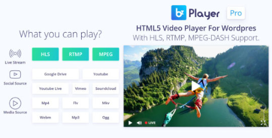 bzplayer Pro v2.1 - Live Streaming Player Plugin Nulled