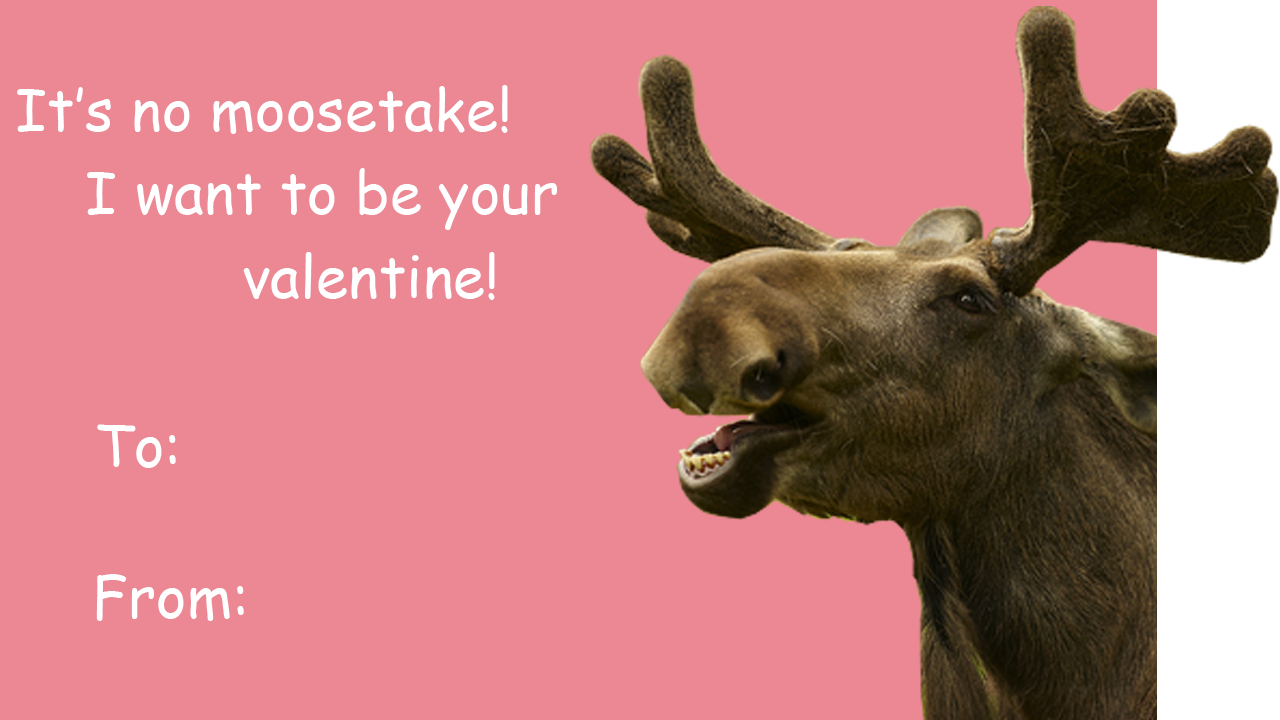 5 moose pun valentines Happy fucking Valentine s 