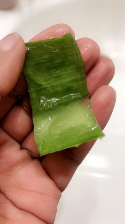 The Aloe vera plant contains healing and anti-inflammatory...