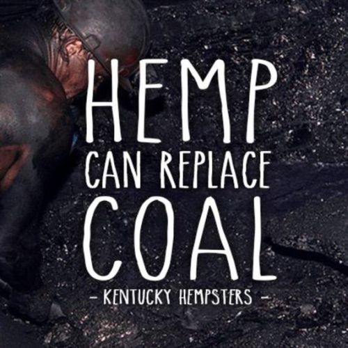 Hemp On Tumblr