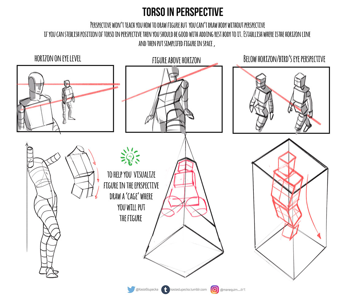 Kasia Art Anatomy Tip Weekly This Week I Ve Prepared