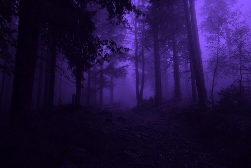 dark purple aesthetic on Tumblr
