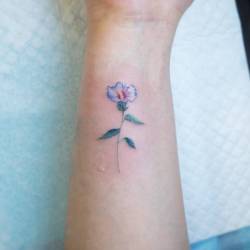 Little Tattoos: Photo