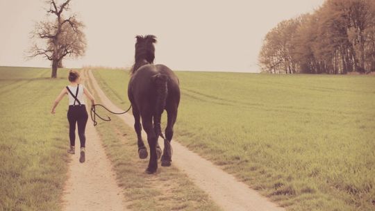 CAV Leserfotos Friesen Rasse Julia Sophie Schaufler