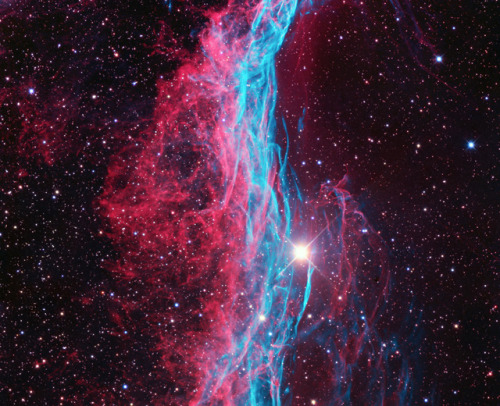 banshy:The Veil Nebula by Ken Crawford