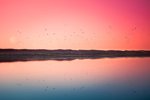 pedromgabriel:- Dreaming at Ria Formosa -Algarve, Portugalby...