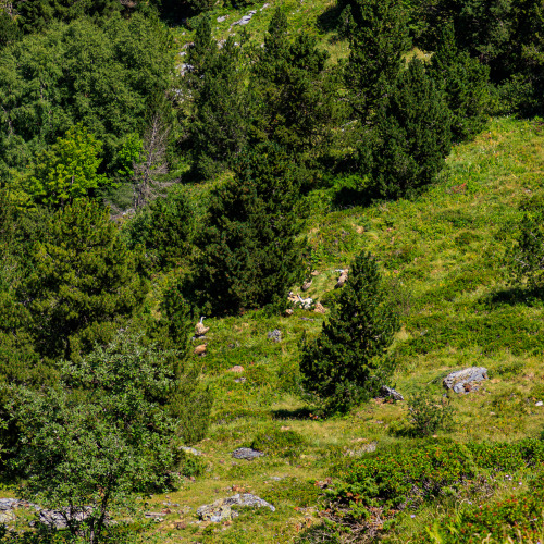 nature-hiking