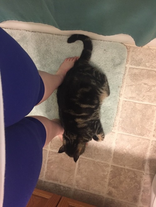 WHILE I PUT MY PANTS ON my little foot fetishist of a cat lays down on me like this.