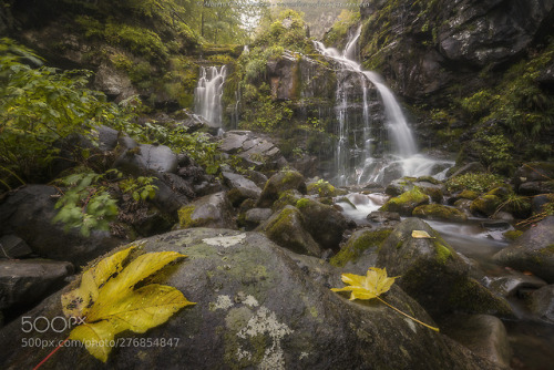 jjordan7:Autumn sensations by aghizzipanizza