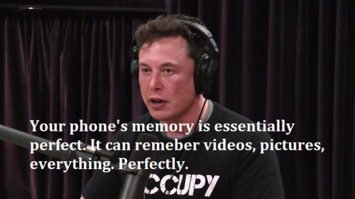 catchymemes:Elon Musk post that is not about weed