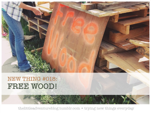 New thing #018: FREE WOOD! (this is actually from lastttt…