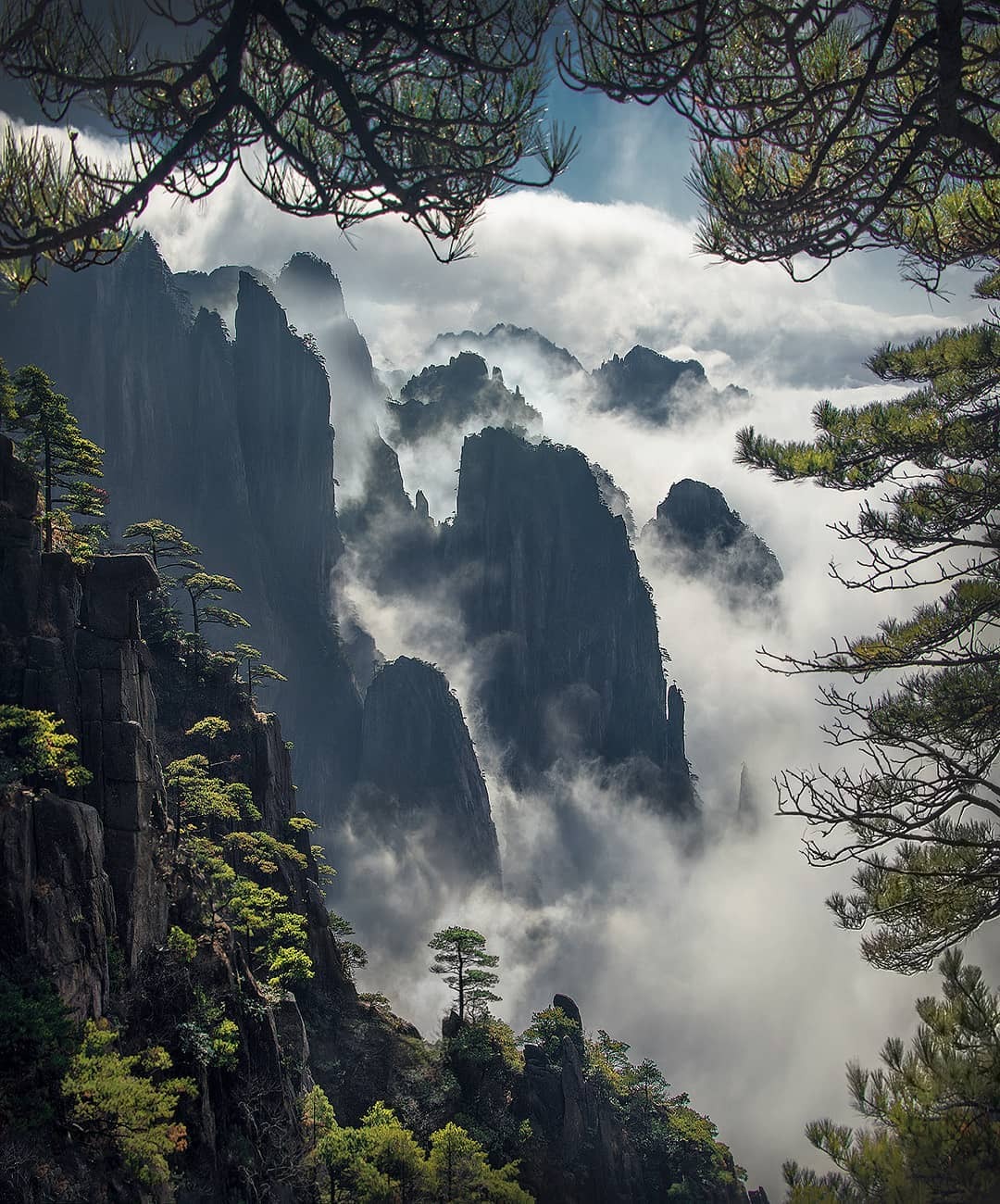 manfrommars2049: “Almost 100 million years old and still standing strong - The Yellow Mountains in Eastern China. By maxrivephotography, (1080x1300) via EarthPorn ”