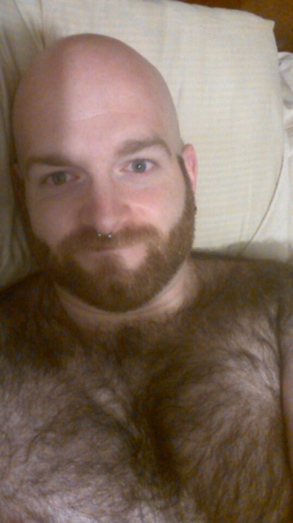 # hairy and horny et pour les BEARS et seux qui les aiment!