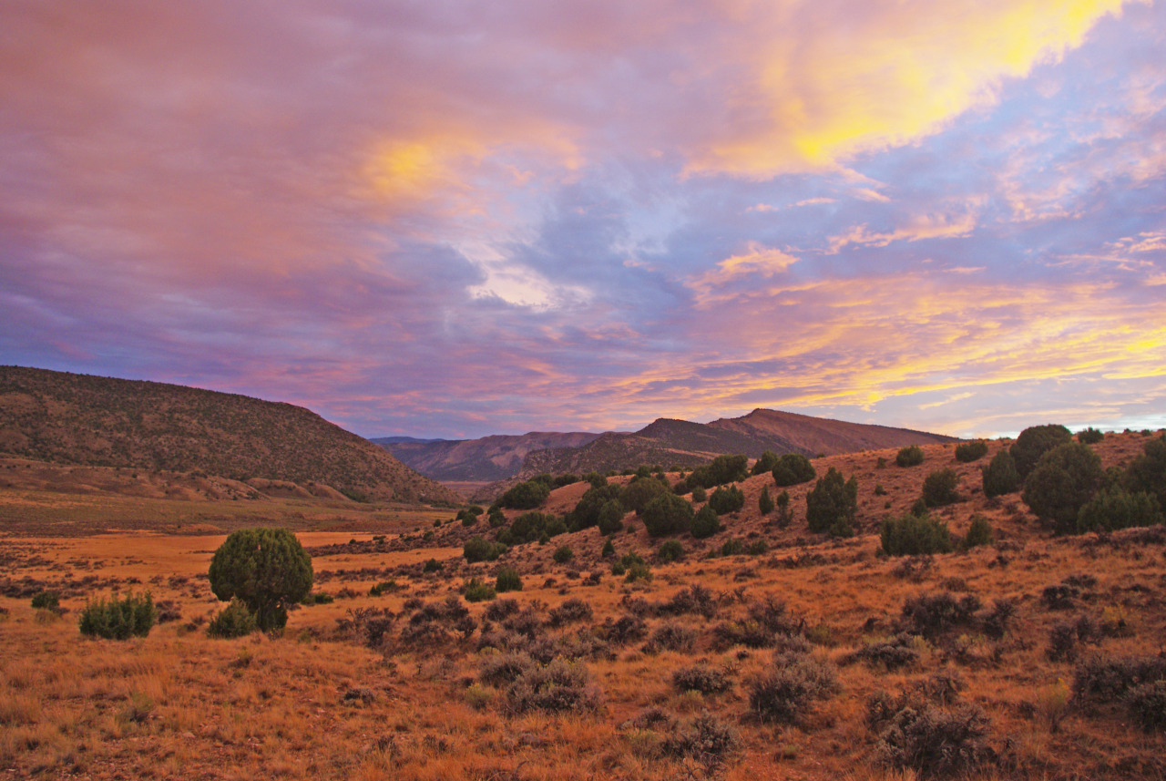 BLM WILD - Explore the 5 Wonders of Southwest Wyoming’s High