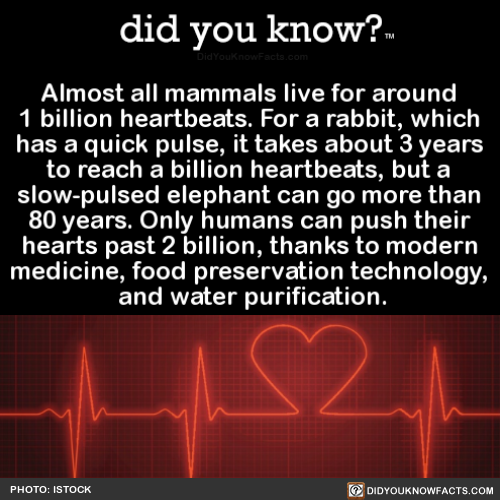 almost-all-mammals-live-for-around-1-billion