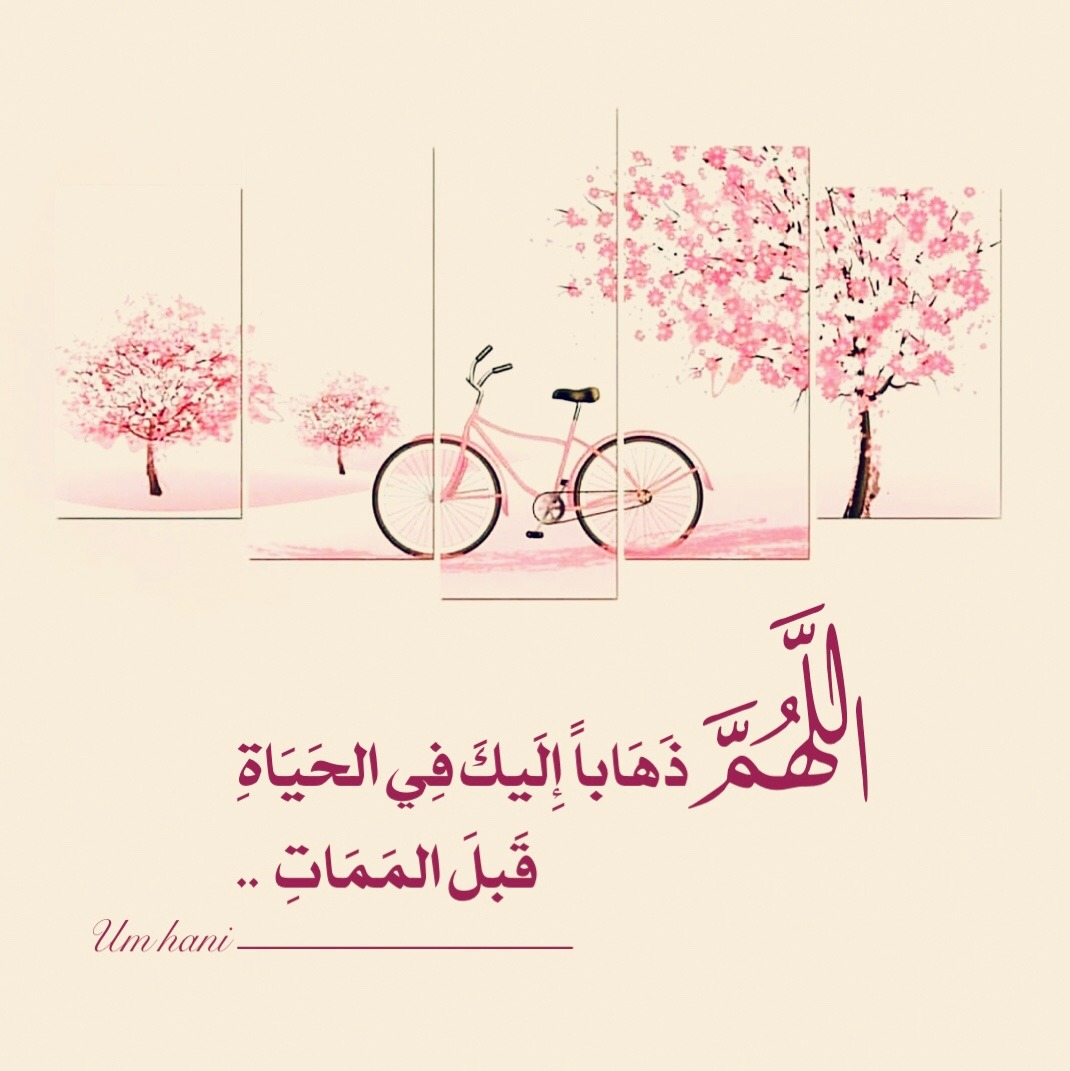 الدعاء هو العبادة ..(3) - صفحة 73 Tumblr_pgjk7pMgR41segn7h_1280