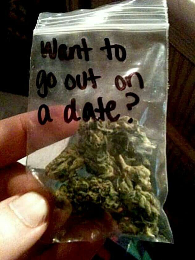 Dating en Stoner Tumblr
