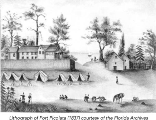 moultrie-creek