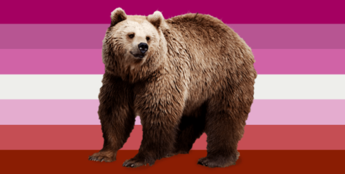 dykedva:Request: A bear themed lesbian flag for anonymous!...