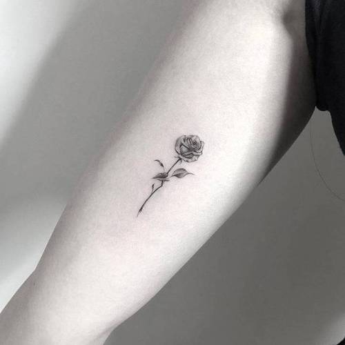 By Kane Navasard, done in Los Angeles. http://ttoo.co/p/98007 kanenavasard;flower;small;single needle;inner arm;tiny;rose;ifttt;little;nature