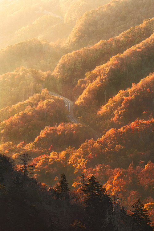 wondrousworld:Smoky Mountains National Park, Tennessee, USA by...
