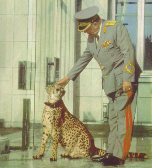 pattern-53-enfield:Josip Broz Tito and his pet cheetah, a gift...