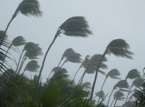 Puerto Ricoreflexiones del 14 de octubre de 2014.- Nos hemos...