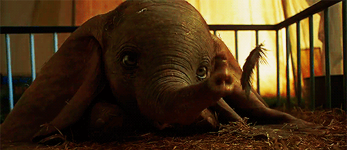 Image result for dumbo 2019 gif