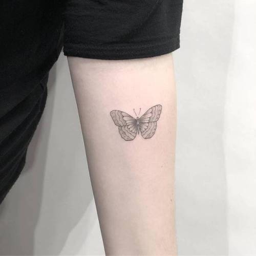 By Chang, done at West 4 Tattoo, Manhattan.... insect;small;chang;butterfly;animal;tiny;ifttt;little;inner forearm;illustrative