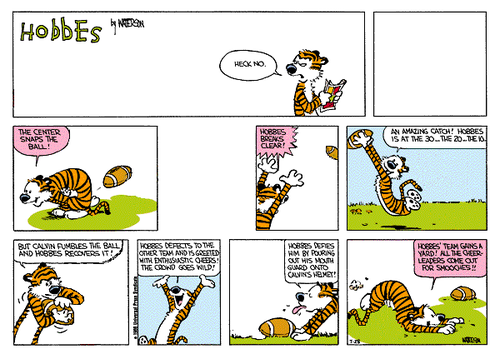 A 10-panel Sunday strip.
Panel 1: The strip's title, 'Hobbes' by WATTERSON. Hobbes reads a comic, turns over his shoulder, and says 'HECK NO.'
Panel 2: Blank.
Panel 3: Hobbes throws a football and says 'THE CENTER SNAPS THE BALL!'.
Panel 4: Blank.
Panel 5: Hobbes throws the football again and yells 'HOBBES BREAKS CLEAR!'.
Panel 6: Hobbes catches the football and says 'AN AMAZING CATCH! HOBBES IS AT THE 30... THE 20... THE 10...'.
Panel 7: Hobbes wrestles with the football and says 'BUT CALVIN FUMBLES THE BALL AND HOBBES RECOVERS IT!'.
Panel 8: Hobbes throws up his arms and says 'HOBBES DEFECTS TO THE OTHER TEAM AND IS GREETED WITH ENTHUSIASTIC CHEERS! THE CROWD GOES WILD!'.
Panel 9: Hobbes sticks out his tongue and says 'HOBBES DEFIES HIM BY POURING OUT HIS MOUTH GUARD ONTO CALVIN'S HELMET!'.
Panel 10: Hobbes arches his back and says 'HOBBES' TEAM GAINS A YARD! ALL THE CHEER-LEADERS COME OUT FOR SMOOCHES!!'.