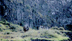 LYSA ARRYN | how lovely and full of hope she had been Tumblr_ndakqjMUT21qeijvdo7_r1_250
