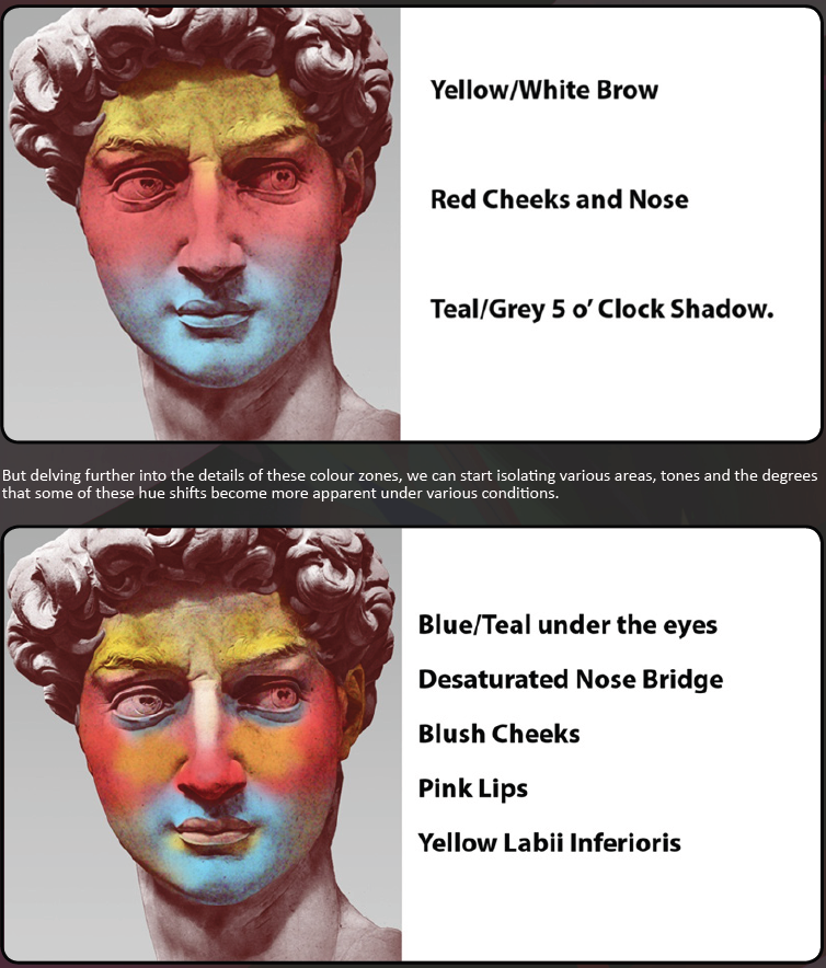 Image result for color zones of the face