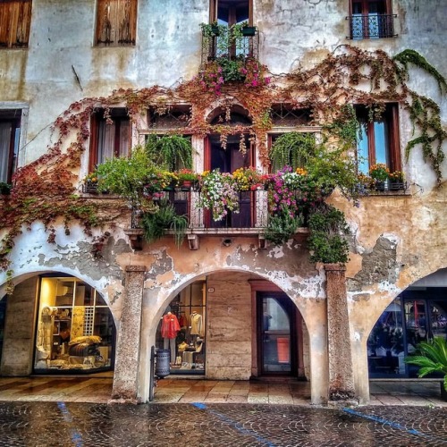 marostica igersveneto igveneto yallersveneto volgoveneto italia italy travel instatravel travelgram travelblogger ilovetravel travelling travelphoto travelingram mytravelgram tagsta_travel