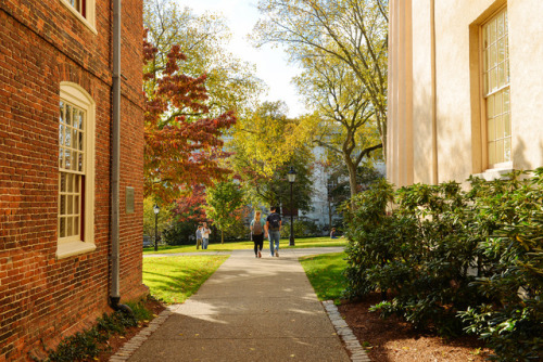 danlophotography:Brown University | Providence, RI, USA