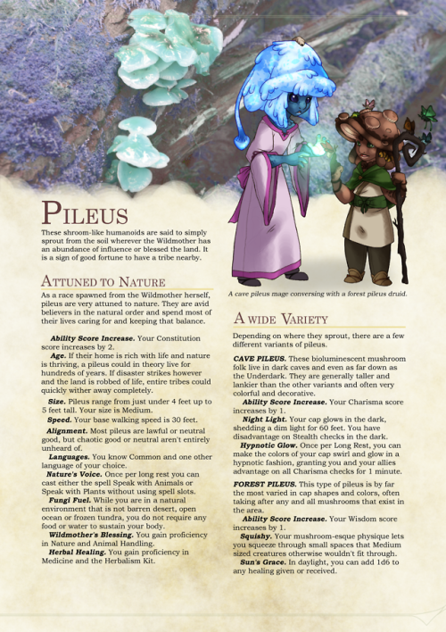 dnd-creations:Pileus, a peaceful people of nature and soil.A...