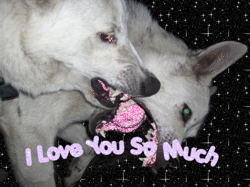 Snarling Gif Tumblr