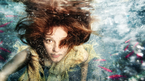 underwater photography on Tumblr